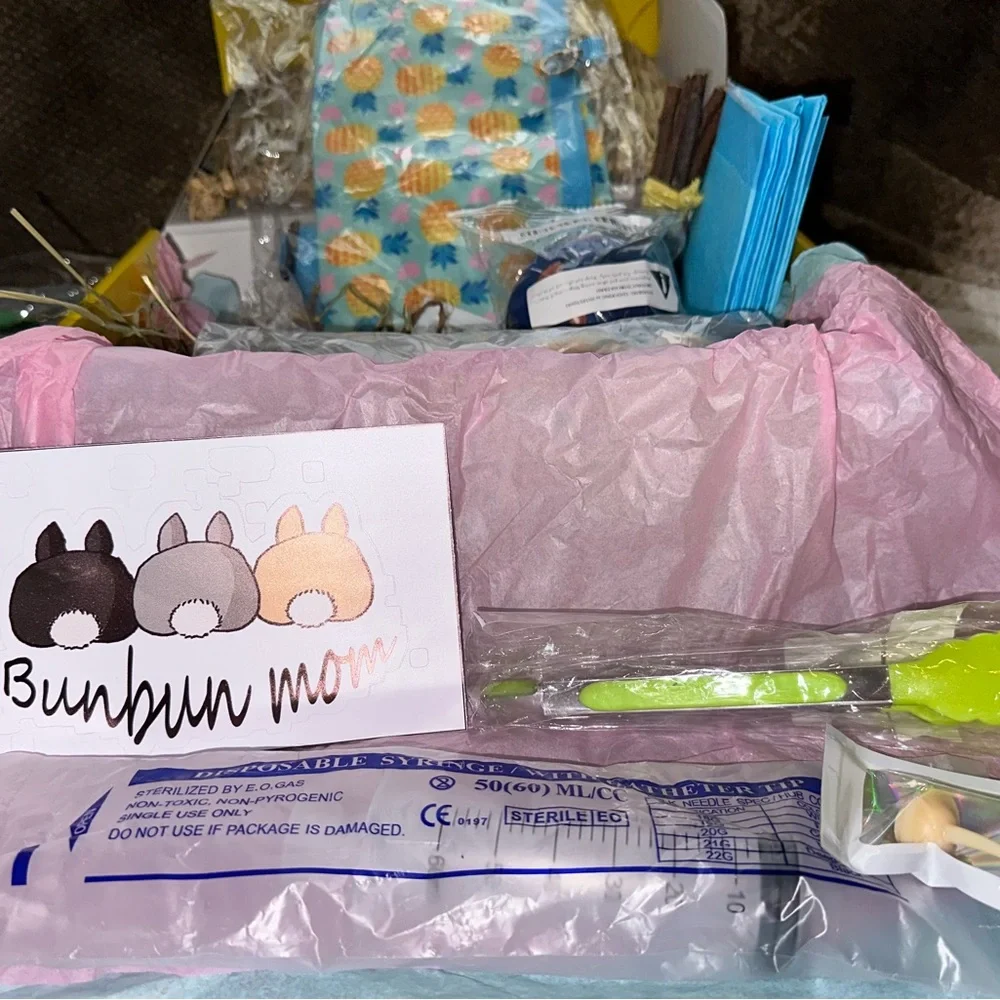 Bunny rabbit *large* treat and toy box (very last one)